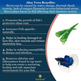 img 2 attached to 🐠 Sungrow Betta Water Starter with Aloe Vera Extract: Calming Water Conditioner for Betta Fish, ideal for Aquarium & Pond, promotes Protective Slime Coat Development