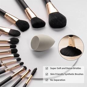 img 3 attached to 13-Piece Makeup Tool Set for Eyeshadow, Foundation, Blush, Concealer - Includes Sponge Blender