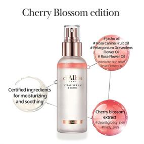 img 2 attached to 🌹 Revitalize and Rejuvenate with VITAL ROSE Soothing Mist- Rosewater and Cherry Blossom Spray Serum- 3.4 fl. oz | Paraben Free, Dermatologist Tested, Cruelty Free