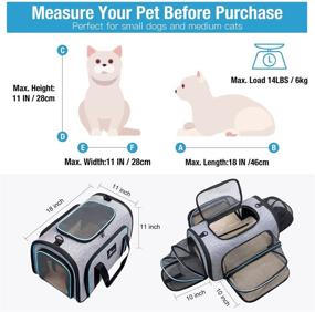 img 2 attached to Siivton 4 Sides Expandable Pet Carrier: Airline Approved Soft-Sided 🐾 Bag for Cats, Dogs, and Small Animals with Fleece Pad Included