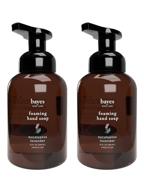 🌿 usda certified biobased foaming hand soap - 2 pack, eucalyptus lavender - nourishing plant-derived formula with natural essential oils - aromatic & effective hand wash, 12 ounce logo