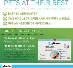 img 3 attached to 🐾 Vetoquinol Zylkene Behavior Support Capsules for Dogs & Cats, 75mg - Natural Calming Milk Protein Supplement - Aid Pets in Coping with Change & Noise-Related Stress - Non-Drowsy Formula - Lactose-Free