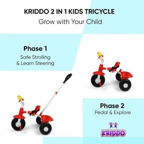 img 2 attached to KRIDDO Tricycles Toddler Tricycle Toddlers
