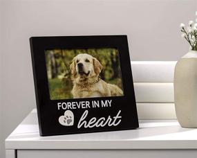 img 2 attached to Forever in My Heart Memorial Picture Frame for Pearhead Pets - Black Keepsake