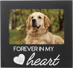 img 4 attached to Forever in My Heart Memorial Picture Frame for Pearhead Pets - Black Keepsake