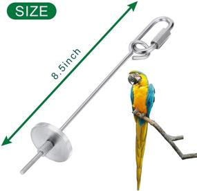 img 1 attached to Convenient and Fun RAYFARMO Parrot Food Holder Bird Toys - 2 Pack for Parrots, Parakeets, Cockatiels, and Conures