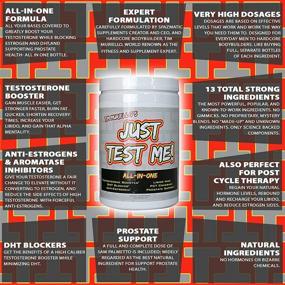 img 1 attached to 💪 Test Me Now! Comprehensive Natural Testosterone Booster - Powerful PCT - Anti-Estrogen Formula - DHT Blocking - Prostate Support - Extra Strength (360 Capsules)