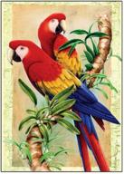 dcidbei 5d diamond painting full drill: diy diamond art parrot cross stitch kit for stunning home decor 12x16 inches logo