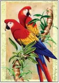 img 4 attached to DCIDBEI 5D Diamond Painting Full Drill: DIY Diamond Art Parrot Cross Stitch Kit for Stunning Home Decor 12x16 inches