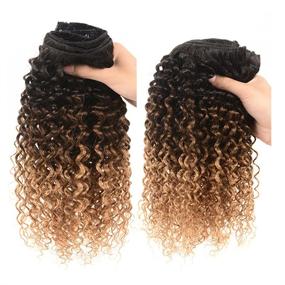 img 2 attached to Kinky Curly Extension Ombre Pieces
