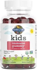 img 4 attached to 🌱 Garden of Life Organic Immune Gummies for Kids, Cherry Flavor - Vitamin C, D & Zinc for Immune Support - Sugar Free, Organic & Non-GMO Immunity Gummy Vitamins for Children, 60 Vegetarian Gummies – Boost Your Child's Immunity Naturally