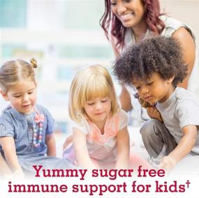 img 3 attached to 🌱 Garden of Life Organic Immune Gummies for Kids, Cherry Flavor - Vitamin C, D & Zinc for Immune Support - Sugar Free, Organic & Non-GMO Immunity Gummy Vitamins for Children, 60 Vegetarian Gummies – Boost Your Child's Immunity Naturally