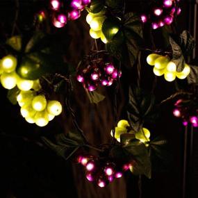 img 2 attached to 🍇 LIDORE 100 LED Purple and Green Grape String Lights - Grapevine Lights with 10 Cluster [UL Listed]