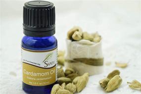 img 3 attached to 🌿 SVATV Cardamom Essential Oil - Therapeutic Grade Aromatherapy Oil | Fragrance Oil for Diffuser, Yoga, Massage &amp; DIY Personal Care | 10ml