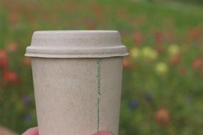 img 1 attached to ☕️ Premium Disposable Compostable Coffee Cups with Stirrers, Sleeves, and Biodegradable Lids - 12 oz - 75 Pack