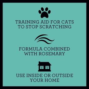 img 3 attached to 🐱 TriNova Anti-Scratch Cat Deterrent Spray: Protect Your Furniture & Keep Cats Happy with Rosemary Infused Formula - Indoor & Outdoor Use