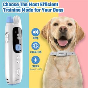 img 3 attached to 🐶 ABBIDOT Small Size Dog Training Collar - Effective Shock Collar for Small, Medium, and Large Dogs (8-120lbs) - Quick Charging, 1500ft Range, IPX7 Waterproof- Remote Control Shock Collar