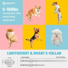 img 2 attached to 🐶 ABBIDOT Small Size Dog Training Collar - Effective Shock Collar for Small, Medium, and Large Dogs (8-120lbs) - Quick Charging, 1500ft Range, IPX7 Waterproof- Remote Control Shock Collar