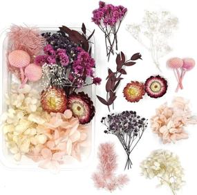 img 4 attached to 🌺 Vibrant Assorted Natural Flowers for Colorful Scrapbooking