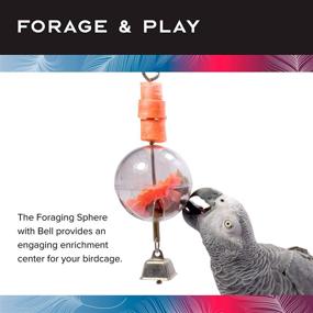 img 2 attached to 🐦 Featherland Paradise: Interactive Bird Treat Toy for Creative Foraging - Hanging Delight!