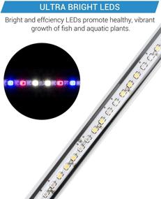 img 1 attached to 🐠 NICREW Submersible LED Aquarium Light - White, Blue, and Red Underwater Fish Tank Light for Freshwater and Planted Tanks: Enhancing Brilliance and Vibrancy