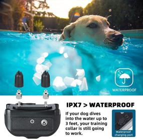 img 2 attached to 🐶 CNHUALAI Rainproof Dog Training Collar with Remote - Shock, Beep, Vibration - 2 Dogs, 2 Receivers - Rechargeable, Waterproof - 1~100 Levels Training Set for Dogs