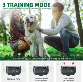 img 3 attached to 🐶 CNHUALAI Rainproof Dog Training Collar with Remote - Shock, Beep, Vibration - 2 Dogs, 2 Receivers - Rechargeable, Waterproof - 1~100 Levels Training Set for Dogs