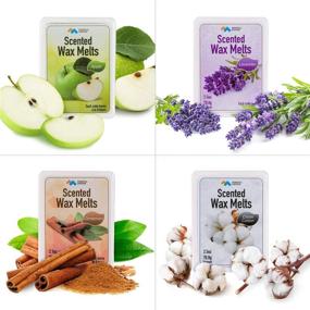 img 3 attached to Mindful Design Scented Wax Melts 4-Pack 🍏 - Apple, Cinnamon, Clean Cotton, & Lavender Wax Cubes