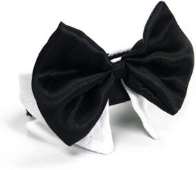 img 2 attached to 🎀 SEO-Optimized Black & White Formal Dog Bow Tie Collar from Platinum Pets