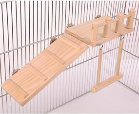 img 2 attached to 🐦 Bird Perches Cage Toys: Wooden Play Gyms with Climbing Ladder, Swing, and Conure Stand – Chewing Toy Sets for Green Cheeks, Baby Lovebird, Chinchilla, Hamster
