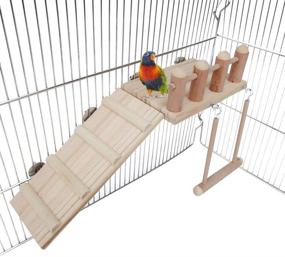 img 4 attached to 🐦 Bird Perches Cage Toys: Wooden Play Gyms with Climbing Ladder, Swing, and Conure Stand – Chewing Toy Sets for Green Cheeks, Baby Lovebird, Chinchilla, Hamster