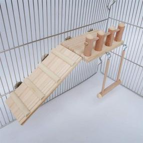 img 3 attached to 🐦 Bird Perches Cage Toys: Wooden Play Gyms with Climbing Ladder, Swing, and Conure Stand – Chewing Toy Sets for Green Cheeks, Baby Lovebird, Chinchilla, Hamster