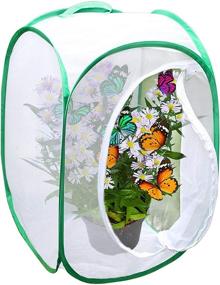 img 4 attached to Collapsible Terrarium for Creating 🦋 a Butterfly Habitat in Your Backyard