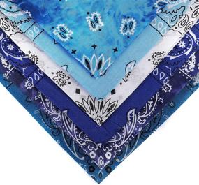 img 1 attached to 🧣 AIMHANKY Pack of 6 Paisley Bandanas: Assorted Handkerchiefs