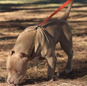 img 3 attached to Plated Necklace Stainless Training Pitbull