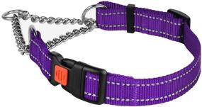 img 3 attached to Повышенная безопасность и обучение с шейным ошейником для собак CollarDirect с отражающими элементами и утяжелителем