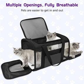 img 1 attached to 🐱 Ashley River Soft-Sided Pet Travel Carrier - Airline Approved Cat Carriers & Dog Carrier in Grey, Pink, Black, Blue, and Navy