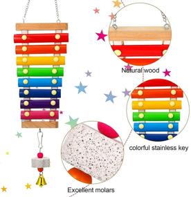 img 2 attached to 🐦 Colorful Wooden Xylophone Bird Toy Set with Chicken Coop Mirrors and Hanging Parrot Grindstone - Perfect Bird Toys for Chicks, Parrots, and Hens!