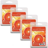 🍊 molten orange scentsationals scented wax fragrance melts - 2.5 oz (4-pack) - wax cubes for home warmer, electric wickless candle bar air freshener - spa aroma decor gift логотип