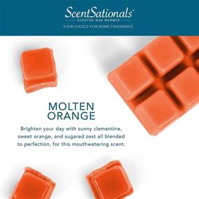 img 3 attached to 🍊 Molten Orange Scentsationals Scented Wax Fragrance Melts - 2.5 oz (4-Pack) - Wax Cubes for Home Warmer, Electric Wickless Candle Bar Air Freshener - Spa Aroma Decor Gift