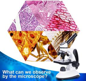 img 2 attached to 🔬 40X-2000X Monocular Microscope with Enhanced Illumination for Optimal Magnification