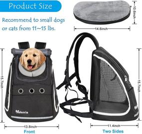 img 3 attached to Adorrie Dog Cat Backpack Carrier: Safer Multifunctional Pet 🐾 Carrier for Small Dogs and Cats in Hiking, Walking, and Travel