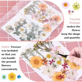 img 2 attached to Flowers Scrapbooking Supplies Tweezers Included