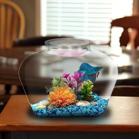 img 3 attached to Koller Products 2 Gallon Fish Bowl 🐠 - BL20LPET: Perfect Home for Your Beloved Fish