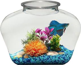 img 4 attached to Koller Products 2 Gallon Fish Bowl 🐠 - BL20LPET: Perfect Home for Your Beloved Fish