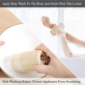 img 2 attached to 🌿 All Natural Loofah Sponge for Men & Women: Premium Eco-Friendly Shower Loofah Brush for Exfoliating Skin