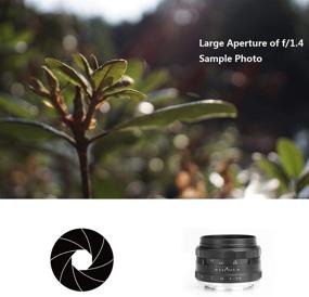 img 1 attached to 📷 MEIKE 35mm F/1.4 Manual Focus Large Aperture Lens for Fujifilm Mirrorless Cameras like X-T1 X-T2 X-T3