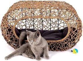 img 3 attached to 🐱 D+ Garden Fun: The Ultimate Stackable Cat Condo for Interactive Indoor Playtime - Rattan Cat House with Enclosed Bed, Top/Side Entry - Perfect for Pet-Friendly Homes!