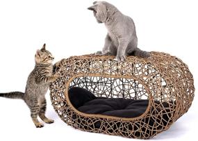 img 4 attached to 🐱 D+ Garden Fun: The Ultimate Stackable Cat Condo for Interactive Indoor Playtime - Rattan Cat House with Enclosed Bed, Top/Side Entry - Perfect for Pet-Friendly Homes!