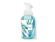 🌺 bath & body works gentle foaming hand soap - beautiful day (2 pack) logo